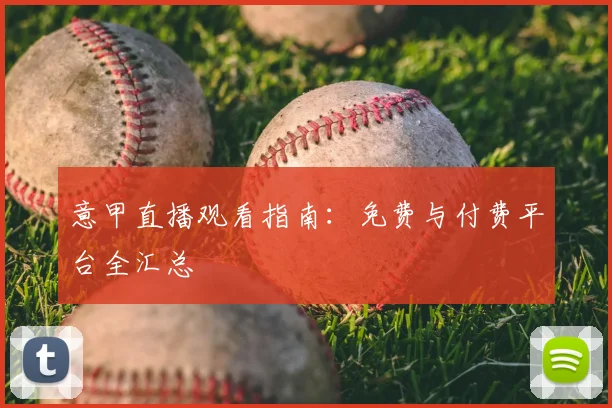 ng28.cn
